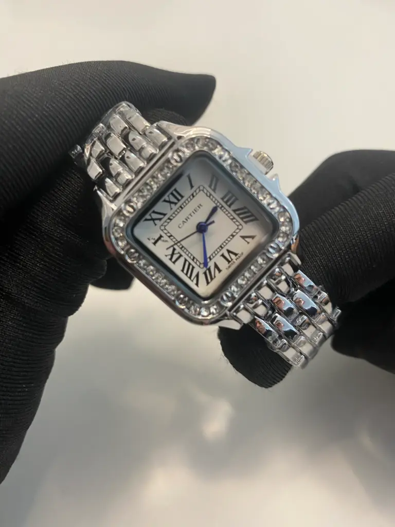 CTR SANTOS PANTHERE A+ 